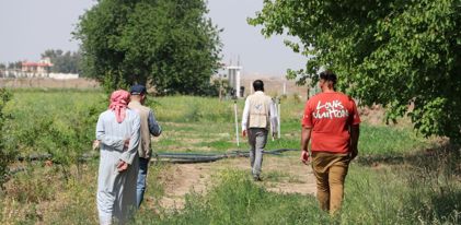 الزراعة المستدامة في العراق