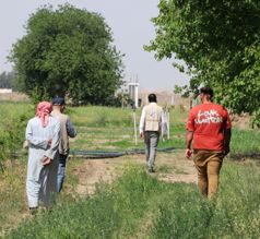 الزراعة المستدامة في العراق