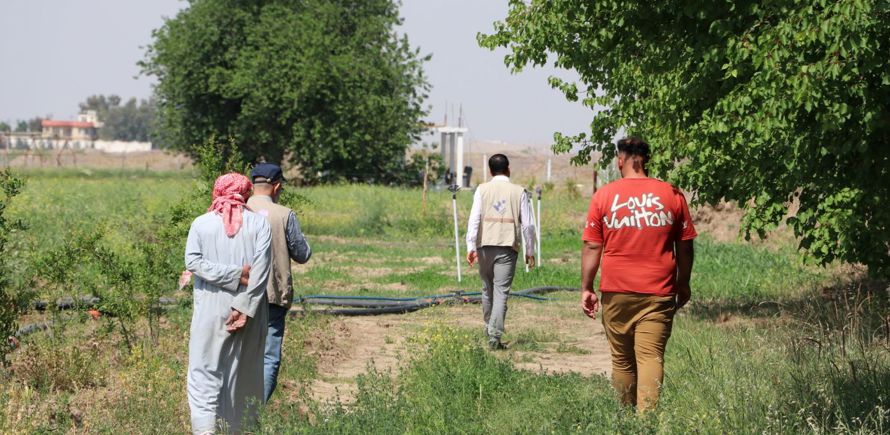 منحة المشاريع الصغيرة في العراق