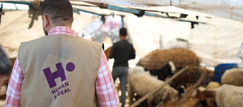 كيفية تقسيم الأضحية بين المتبرعين والمستفيدين