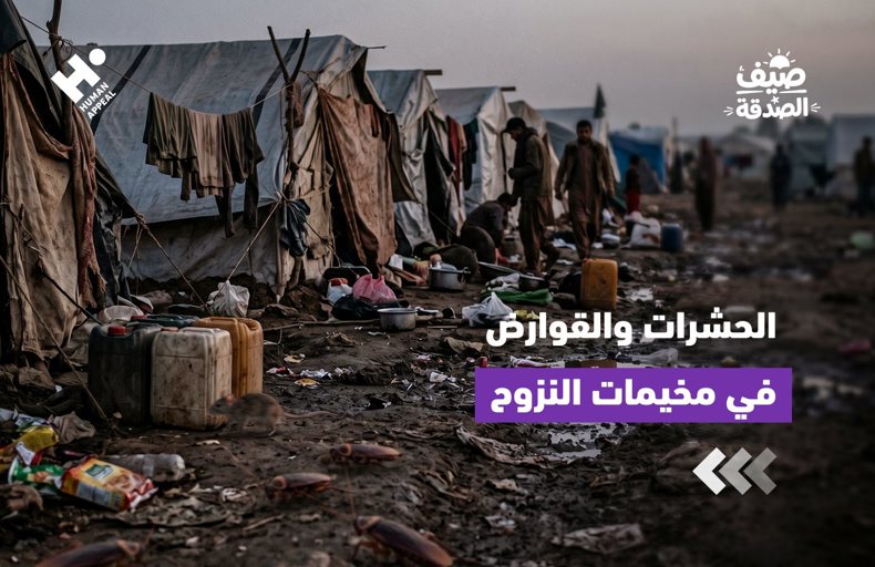 الحشرات والقوارض ومعاناة الأسر النازحة