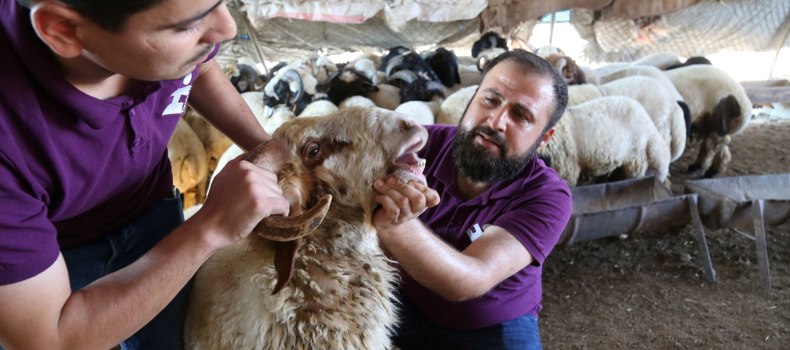 Electronic_Qurbani_Blog_OG