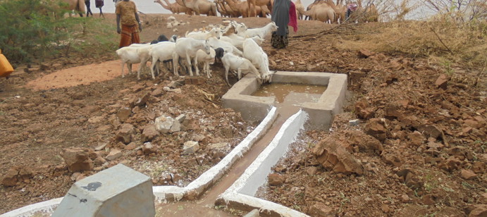 مصادر مياه مستدامة لمخيمات النازحين في الصومال والتي توفر المياه للماشية أيضا