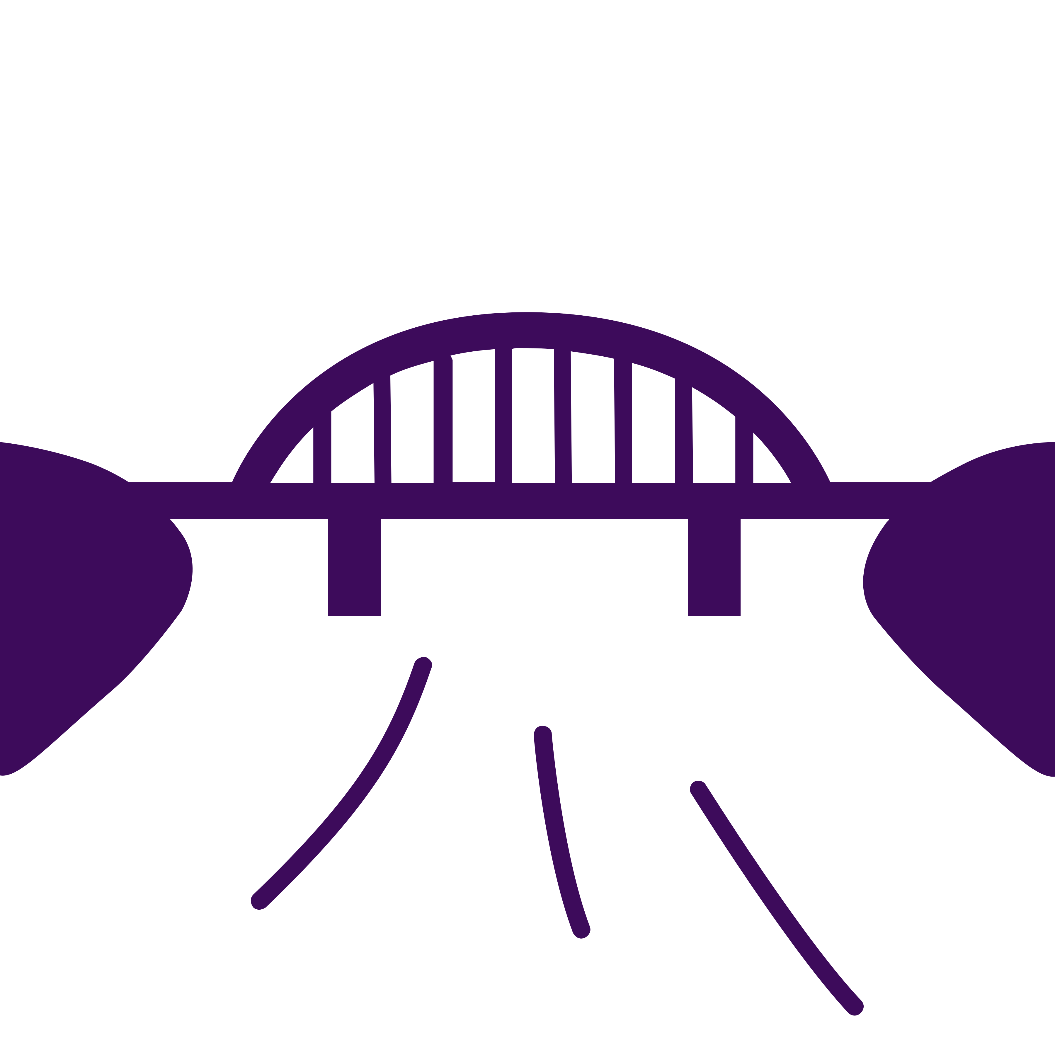 سدٌ بطول 25 كم على نهر تشيناب