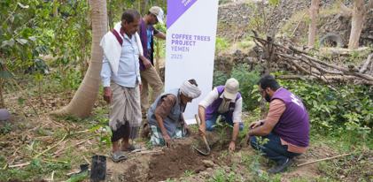 باقة البر لليمن