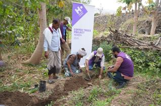 باقة البر لليمن