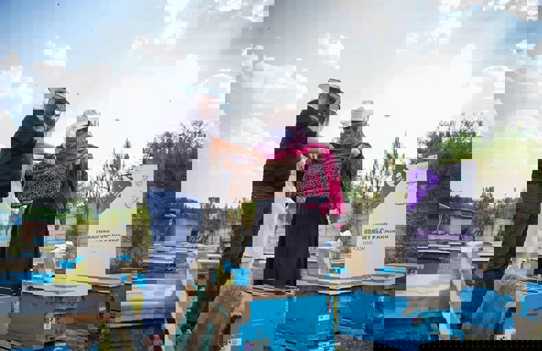 مشاريع نحل العسل في كشمير