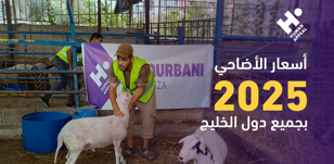 أسعار الأضاحي - دليل التكلفة والجودة