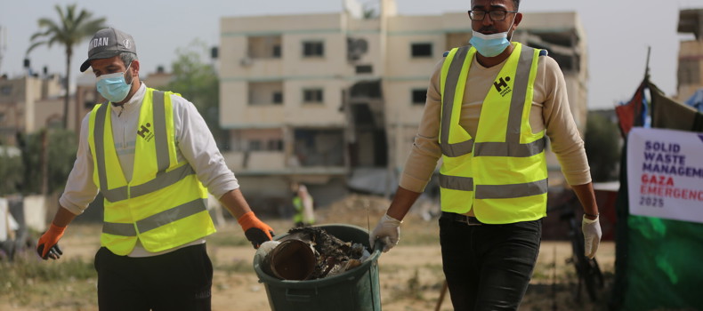 لماذا تزداد الحشرات والقوارض في مناطق النزوح خلال فصل الصيف؟