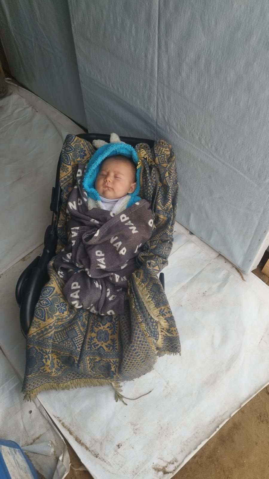 Wajdi, Human Appeal Orphan from فلسطين