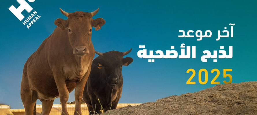 متى ينتهي وقت ذبح الأضحية شرعًا في 2025؟