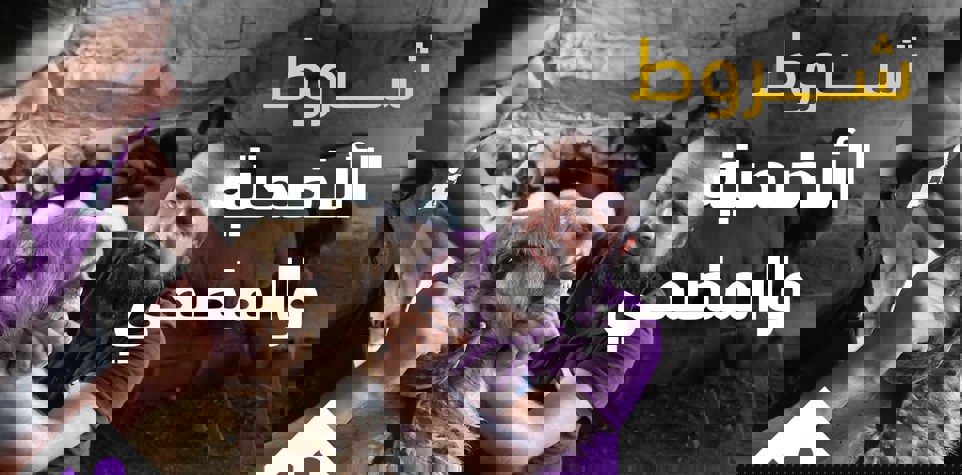 شروط الأضحية والمضحي