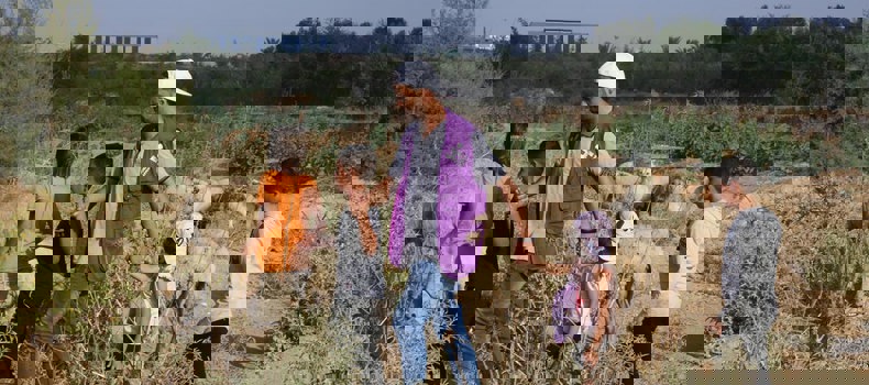 توزيع الأضحية