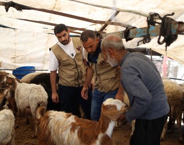 المواسم: رمضان والعيد والأضاحي