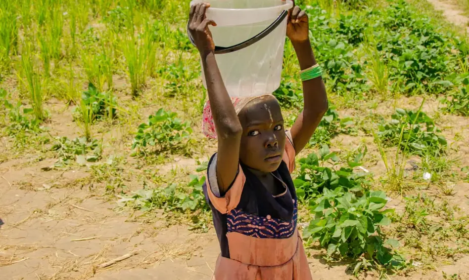 صندوق رعاية أطفال الشوارع في نيجيريا