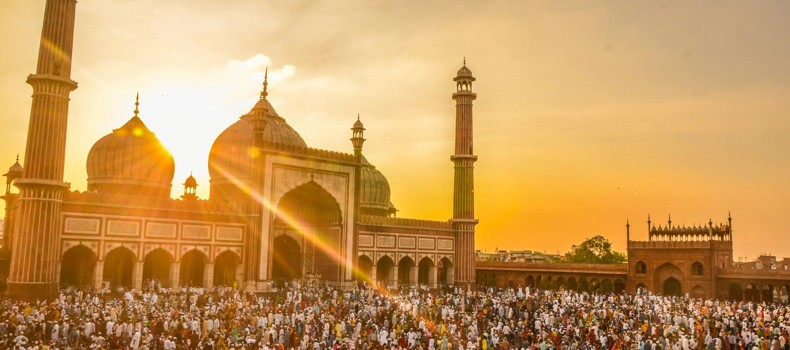 ما أحكام الأضحية للمرأة؟ إجابات شرعية مهمة