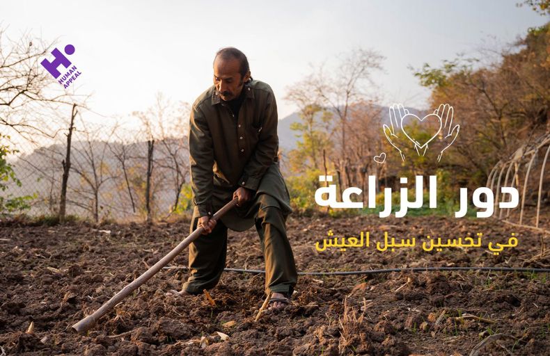 مشاريع التشجير المستدامة