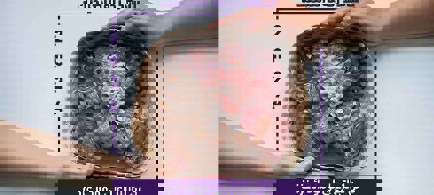 رحلة أضحيتك من التبرع إلى موائد غزة 2024
