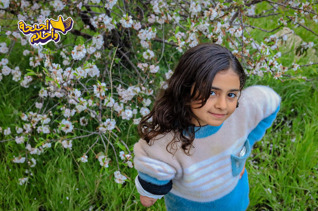 دانا.. براءةُ الطفولة في مواجهة المأساة