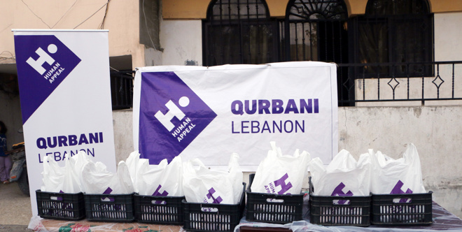 أضاحي لبنان