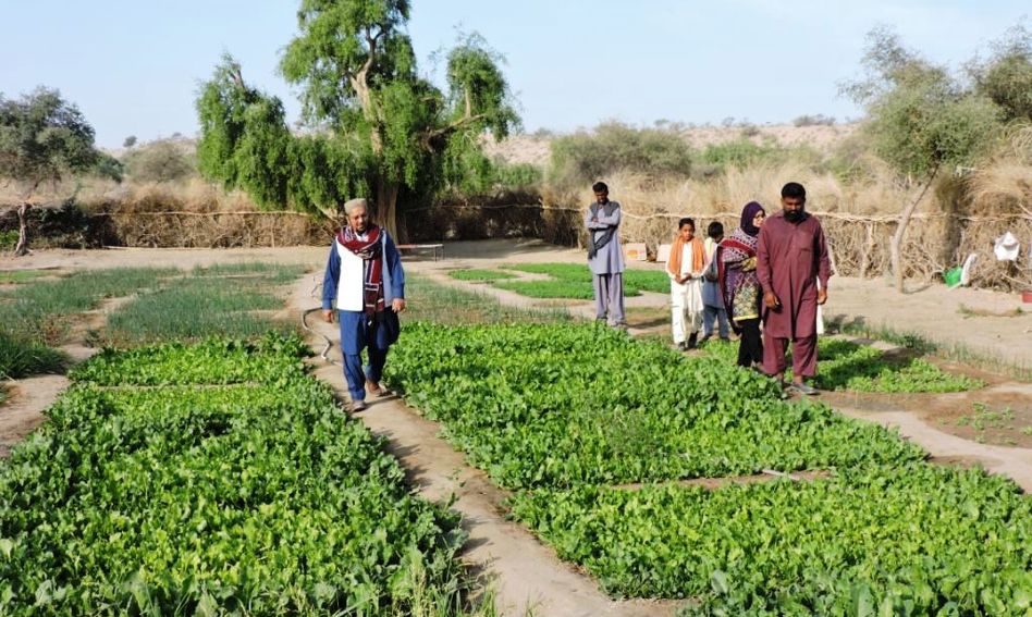 الحدائق المنزلية