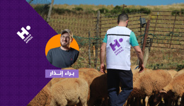 حملة الأضاحي مع براء إنذار