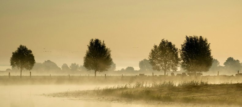 أدعية رمضان من الأحاديث النبوية الشريفة