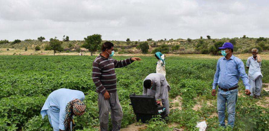 صندوق الكسب الكريم وسبل العيش