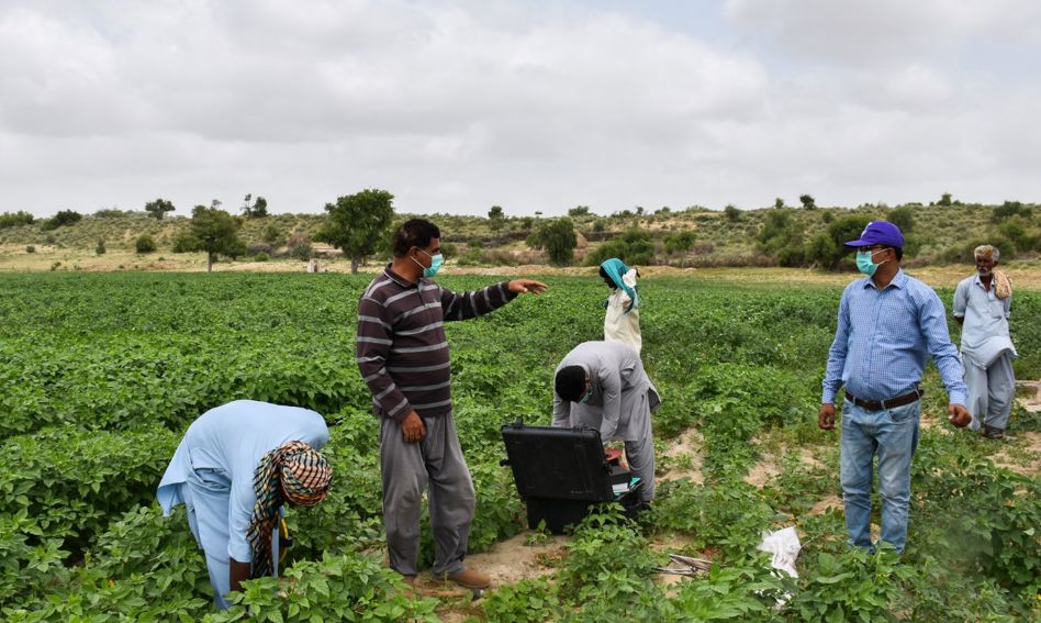 سبل العيش للاجئي الروهينجا