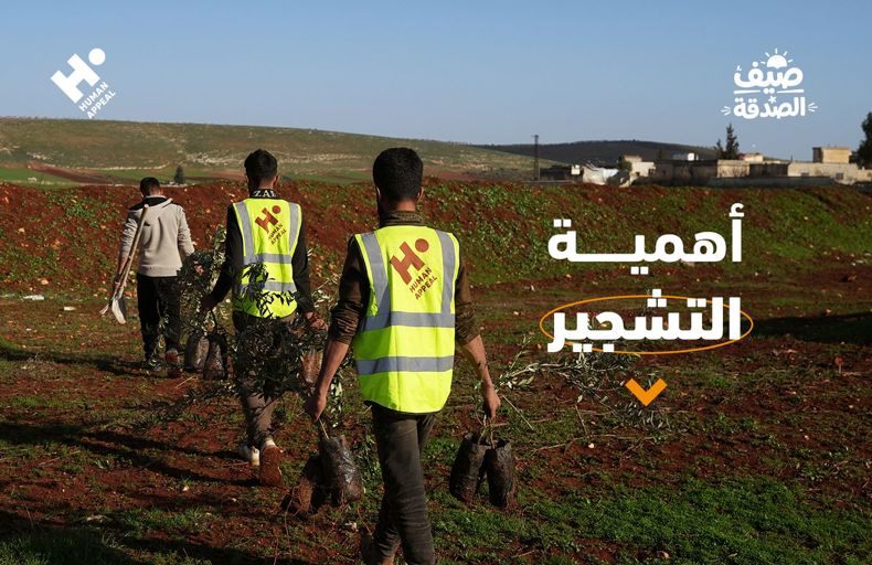 أهمية التشجير