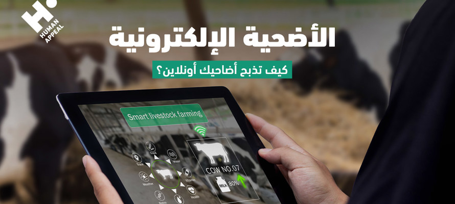 الأُضحية الإلكترونيّة – كيف تذبح أضحيتك أونلاين 
