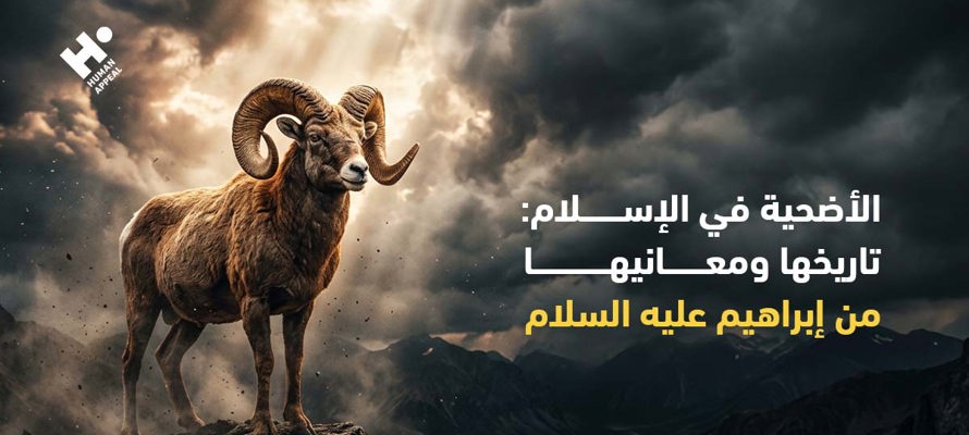 الأضحية في الإسلام: تاريخها ومعانيها من إبراهيم عليه السلام