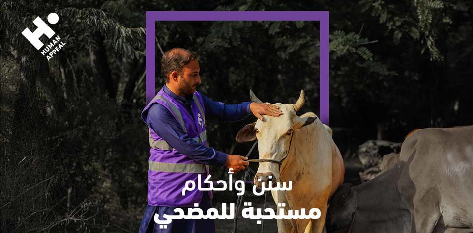 سنن وأحكام مستحبة للمضحي