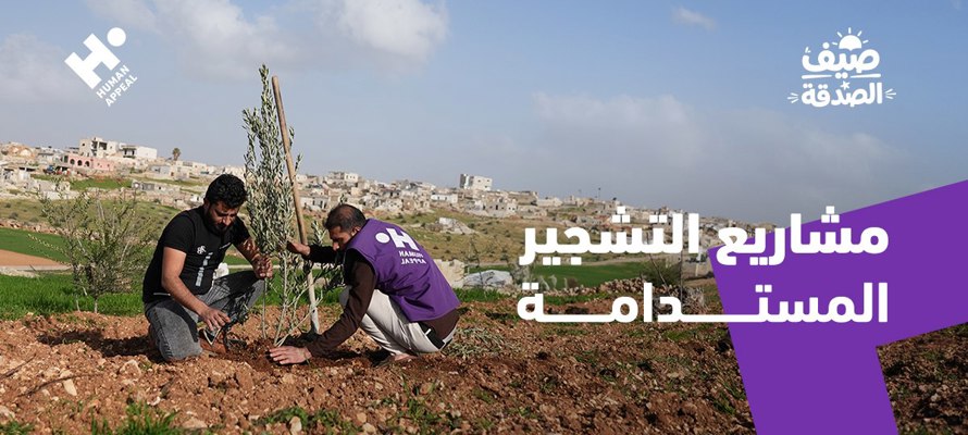 دور مشاريع التشجير في مواجهة الحرارة ودعم الأسر المحتاجة