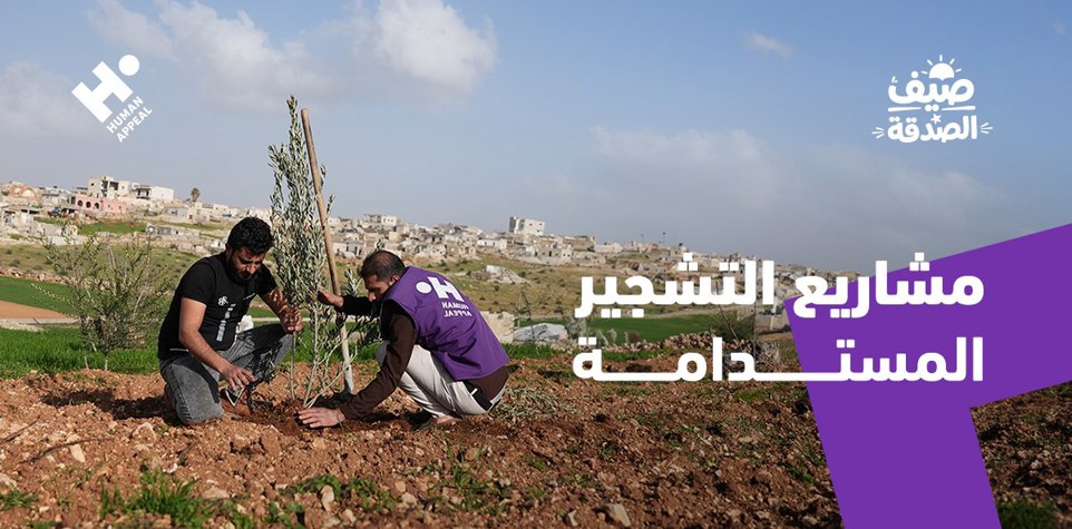 مشاريع التشجير المستدامة
