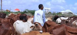 سوبر أضحية (سهميّ أضحية في غزة واليمن)