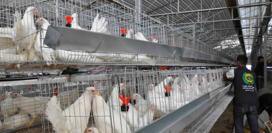 طوارئ السودان