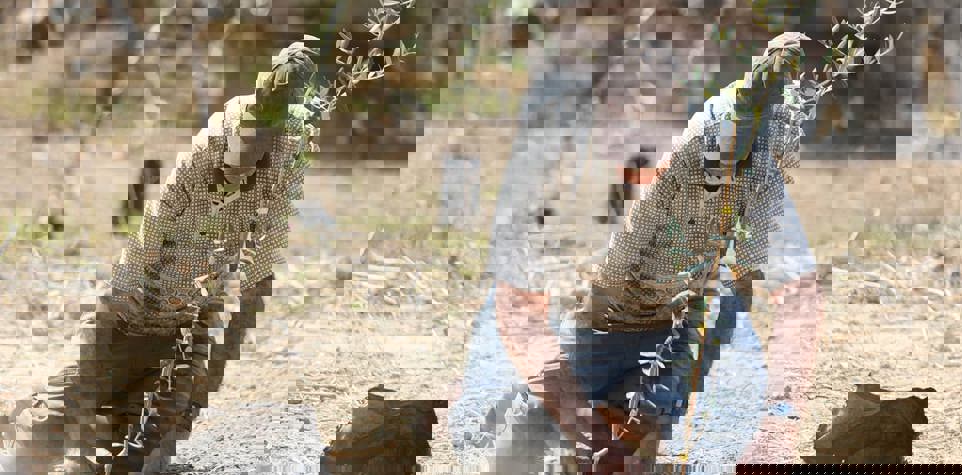 الصدقة الجارية