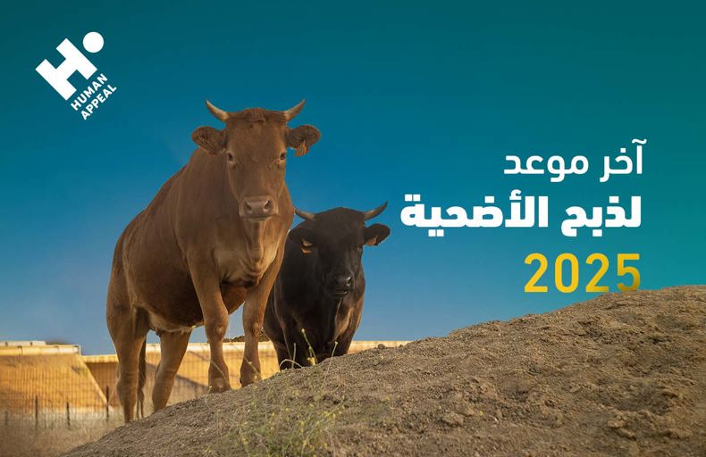 آخر موعد لذبح الأضحية 2025 