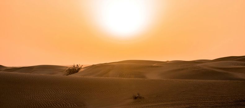 الأثر الصحي والاقتصادي لموجات الحر