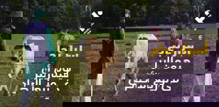 أسرار نجاح هيومان أبيل في توزيع الأضاحي