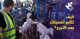 كيف تتابع أضحيتك بعد التبرع؟