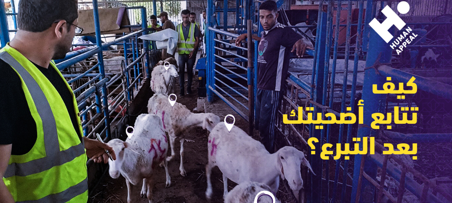 كيف تتابع أضحيتك بعد التبرع؟