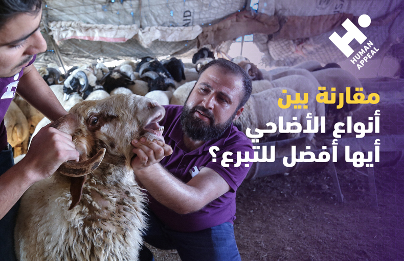 الفرق بين أنواع الأضاحي