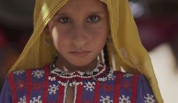 أخرج زكاتك للمستحقين مع هيومان أبيل وفقًا للشريعة الإسلامية