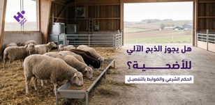 هل يجوز الذبح الآلي للأضحية؟ الحكم الشرعي والضوابط بالتفصيل