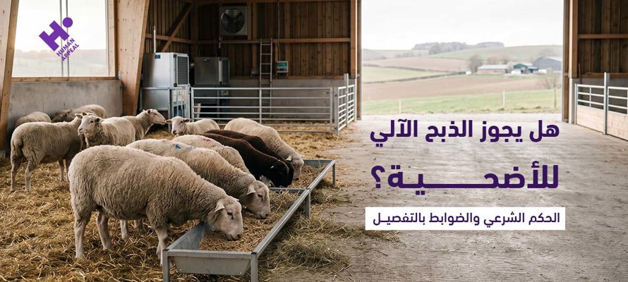 هل يجوز الذبح الآلي للأضحية؟ الحكم الشرعي والضوابط بالتفصيل