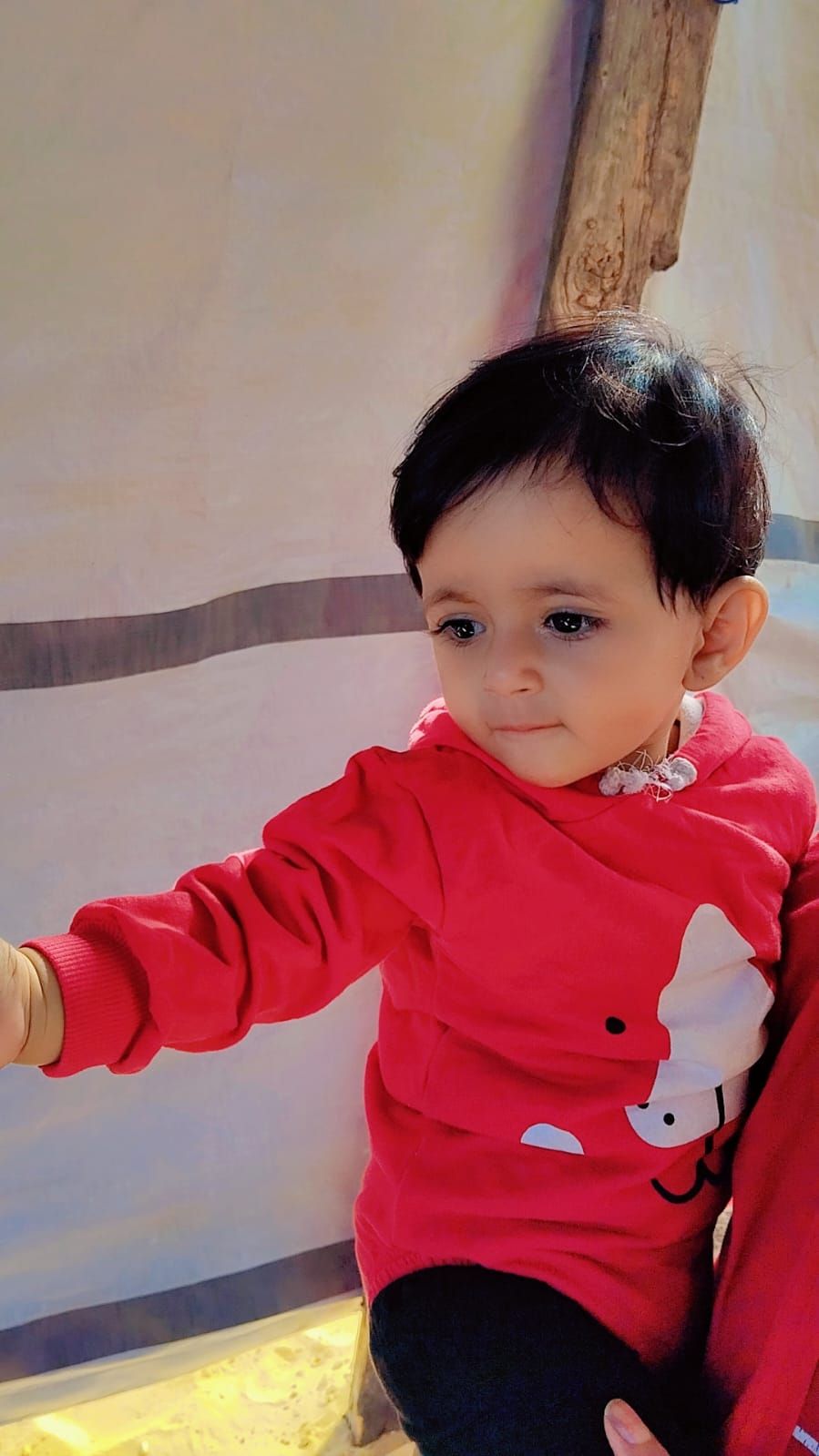 Hour, Human Appeal Orphan from فلسطين