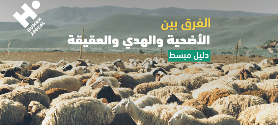 الفرق بين الأضحية والهدي والعقيقة – دليل مُبسَّط