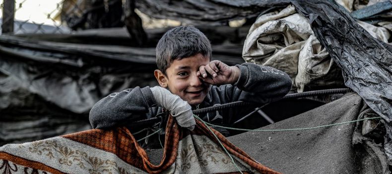 لماذا يعد الأطفال أكثر الفئات تأثرًا بالحشرات والأمراض المرتبطة بها؟